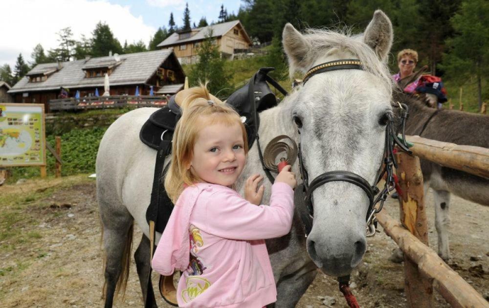 Das Penthaus Katschberg Katschberghohe Bagian luar foto