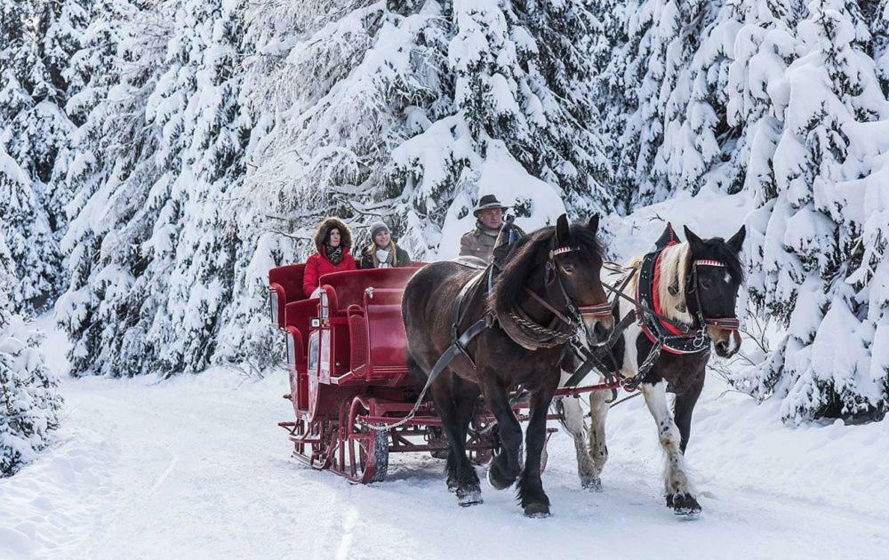 Das Penthaus Katschberg Katschberghohe Bagian luar foto